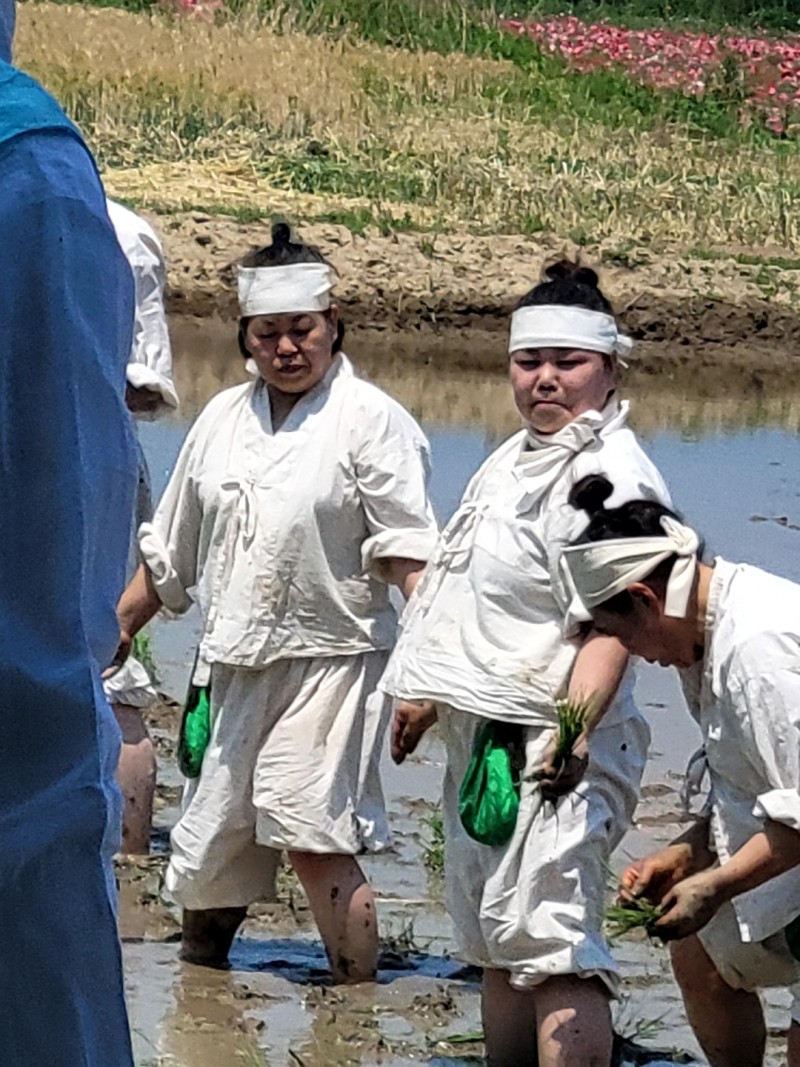 3f15ac623ee38b274dfa7797211e9761_1653643520_1041.jpeg